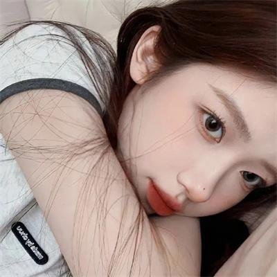 狗的生涯